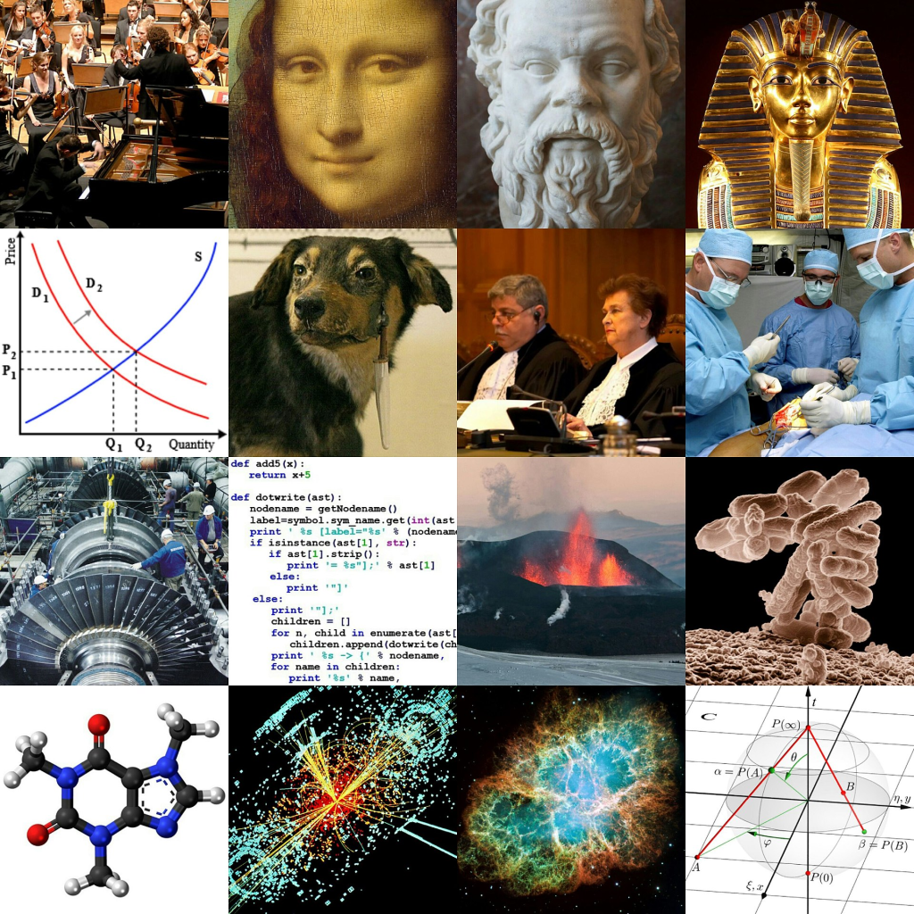 Collage of images representing different academic disciplines